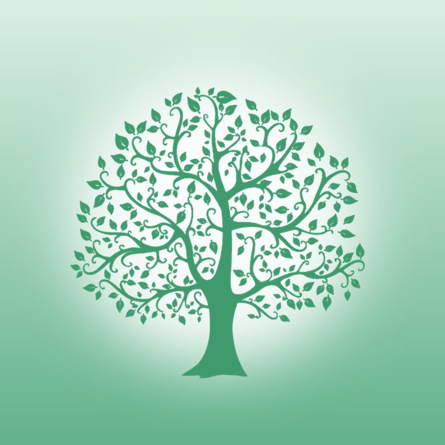 Arbre au feuillage vert, emblème d’Axel Vuillemin, sophrologue